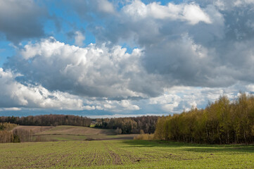 rural landscape in spring