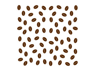 coffee seed  texture 