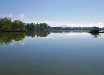 Fototapeta premium scenica e idilliaca vista dell'oasi faunistica del wwf di alviano in italia