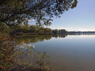 scenica e idilliaca vista dell'oasi faunistica del wwf di alviano in italia