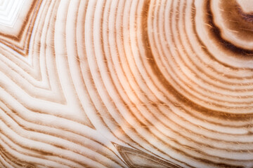 macro photo of contrast agate brown light and dark lines