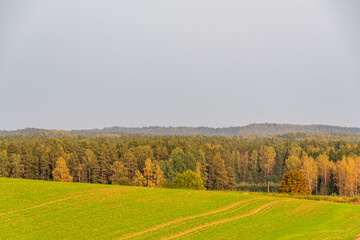 agricultural land cultivated in autumn
