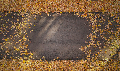 Top view of footpath with autumn leaves and text space