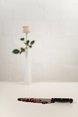 Rose mit Vase (HighKey) 