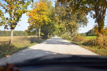 An empty rural road (alley) through the colorful deciduous trees with green, golden, orange, red and yellow leaves. A view from the car. Eco tourism, cycling, vacations, recreation, walking