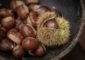sweet chestnuts rustic composition on daylight