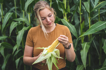 Maisanbau - junge Landwirtin prüft vor einem Maisfeld den Körnerbesatz,  landwirtschaftliches Symbolfoto.