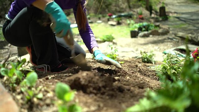 Low closeup shot of woman’s hands using trowel to dig hole in garden.