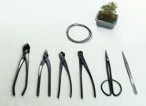 mini bonsai and tool top view