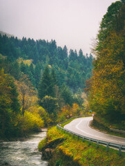 road in autumn forest in mountains