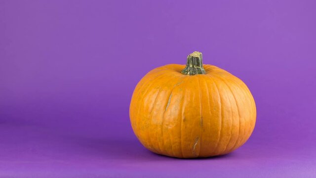 Stop motion animation Halloween pumpkin spinning on a purple background. Ripe orange pumpkin rotates on a fiolet background. Fresh organic pumpkin on a fawn background.