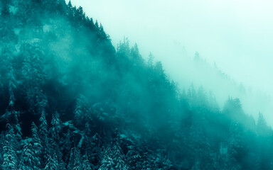 Dramatic dark, mysterious, and moody mountains in the foggy Pacific Northwest