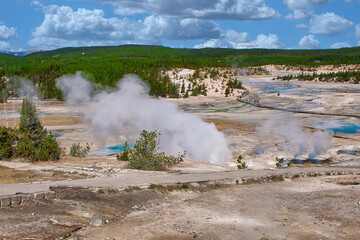 Geyser Basin in Yellowstone National Park