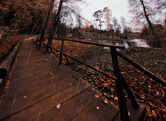 autumn in the park