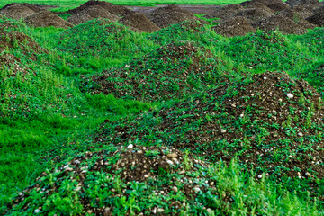 Small hills with green grass