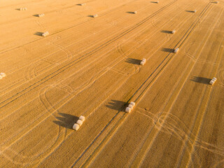 Aeria view of a cornfield with rolls of straw bales