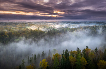 Obraz premium Epic sunrise over the foggy valley in autumn. Morning light lightens colorful forest covered in mist. Impressive storm clouds. 