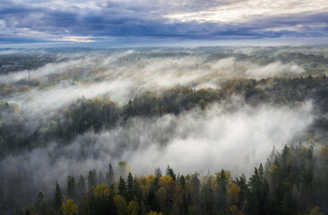 Fototapeta premium Epic sunrise over the foggy valley in autumn. Morning light lightens colorful forest covered in mist. Impressive storm clouds. 