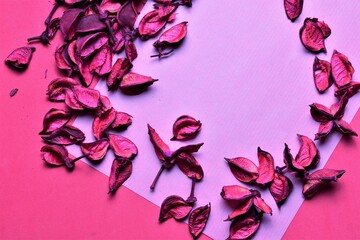 Background with dry leaves in the outline, space on a sheet of paper for text or ideas, in pink colors