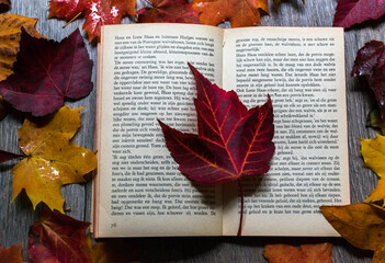 Naklejka na ściany i meble autumn leaves on a book