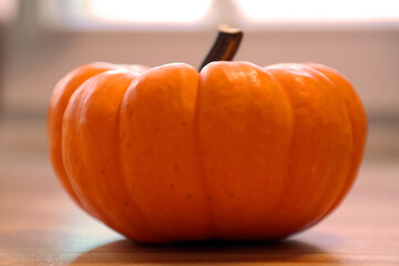 Decaorative, orange colored mini Halloween pumpkin on varnished solid wood background under natural sunlight in October just before the festive holiday