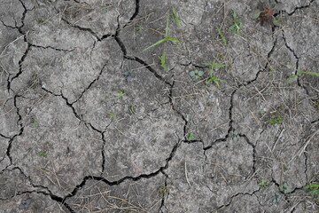 Dry Soil