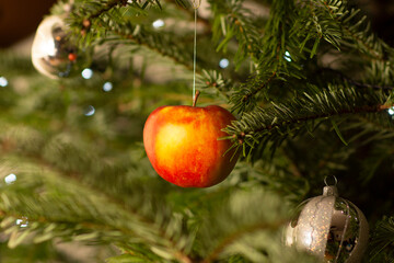 Christmas decoration ornaments and an apple hanging in a  tree with lights