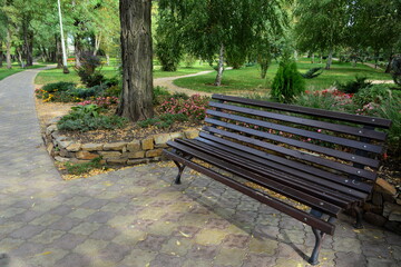 A wooden park bench on a clear autumn day.