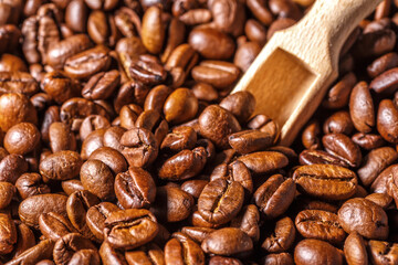 Freshly roasted coffee beans background.Dark roasted coffee beans with scoop on wooden background.