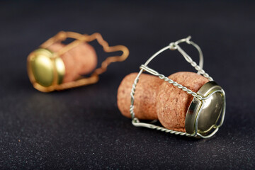 Natural champagne bottle cork. System for closing the bottle with sparkling wine.