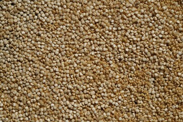 Organic white quinoa, healthy food