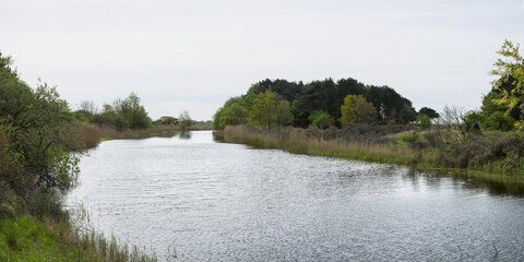 Dunes and waterways landscape in the Amsterdamse waterleidingduinen the Netherlands