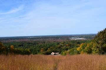 Obraz premium leaves changing