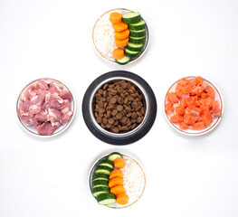 Dry pet dog food in bowl with natural ingredients. Raw meat, fish, vegetables, eggs and salad. concept of correct balanced and healthy nutrition for pet