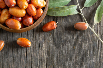 Fresh raw silverberry fruits in bowl with bunch of silverberry tree, oleaster or russian olive ( Elaeagnus )