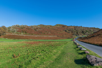 Landscape photo of Hollerday Hill at the Valley Of The Rocks in Exmoor National Park