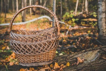 Fototapeta na wymiar Empty wicker basket on golden autumn leaves in forest.