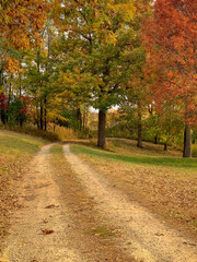 Fototapeta na wymiar path in autumn