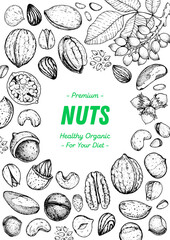 Nuts collection hand drawn sketch. Pistachios, walnut, hazelnut, almond, cashew, pecan nuts vector illustration. Organic healthy food. Great for packaging design. Engraved style. Black and white color