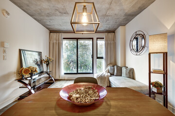 Canadian apartment staged and partially furnished in new building in Griffintown, Montreal area