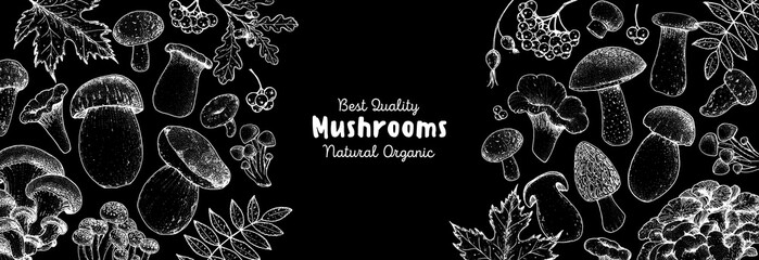Edible mushrooms hand drawn. Autumn design. Vector illustrations collection. Hand drawn food. Sketch mushrooms. Organic food. Forest mushrooms. Engraved design.