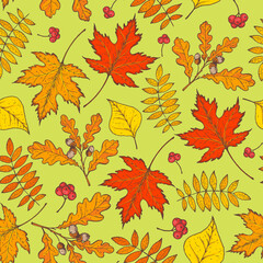 Autumn leaves seamless pattern. Fall background. Hand drawn design. Vector illustration