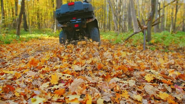Outdoor activity - man with his kid riding ATVs in the forest on orange leaves