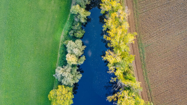 Vista aerea zenitale di un laghetto che separa un prato verde e un campo rosso con alberi gialli con colori autunnali