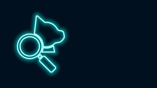 Glowing neon line Veterinary clinic symbol icon isolated on black background. Magnifying glass with cat veterinary care. Pet First Aid sign. 4K Video motion graphic animation