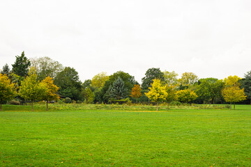 landscape with trees