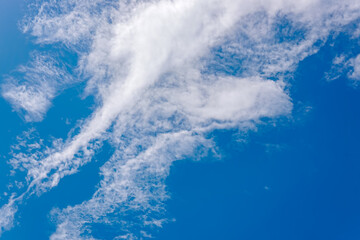 Obraz premium blue skies and white clouds in sunny weather