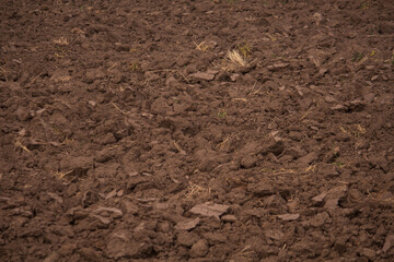 black soil for agricultural production