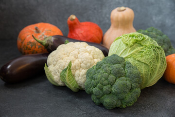 Three types of cabbage, Brassica oleracea sabauda, broccoli, cauliflower, pumpkin and eggplant on a gray background. Harvesting