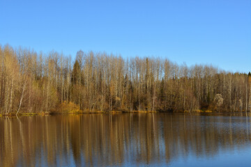 landscape, autumn view of the forest near the lake, reflection of trees on the water.